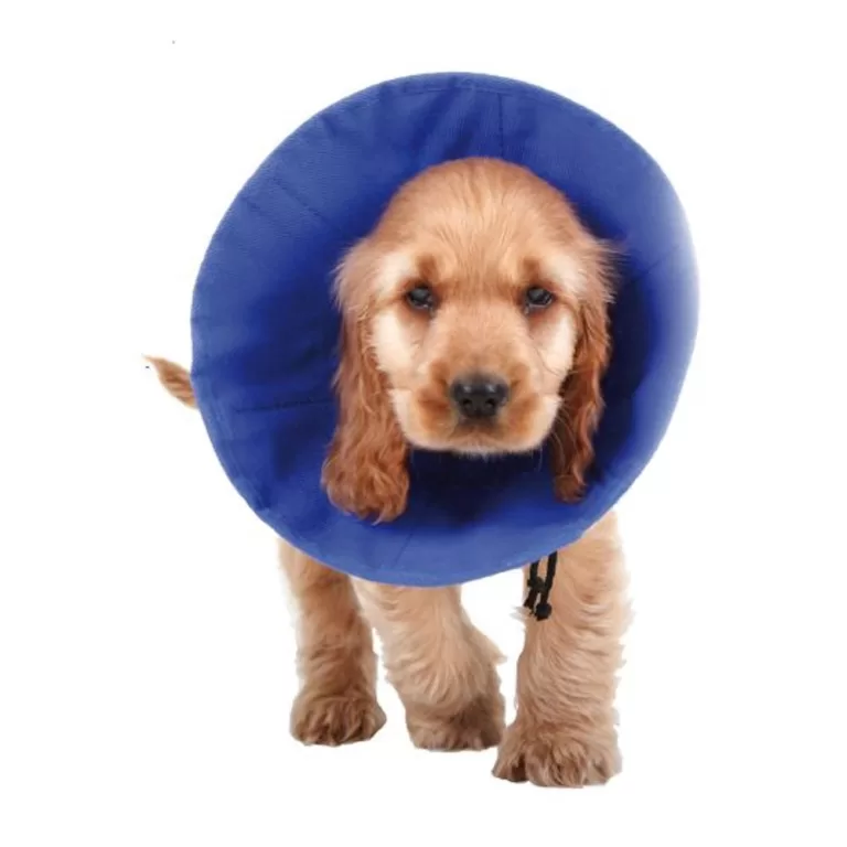 Lampenkap voor honden KVP EZ Soft Blauw (9-25 cm)
