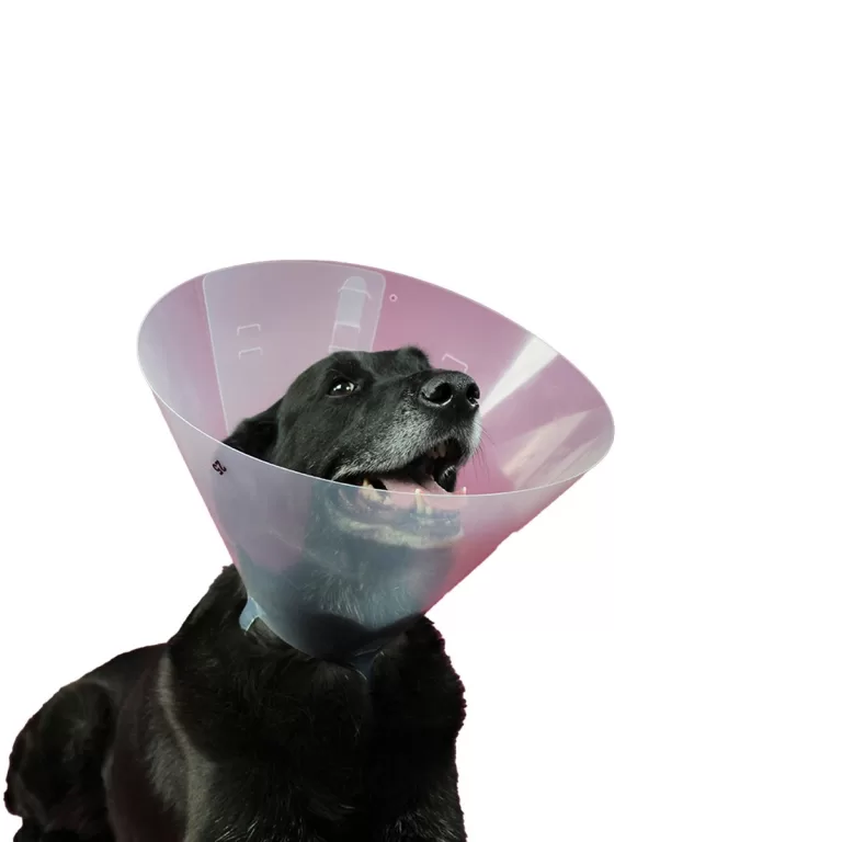 Lampenkap voor honden KVP Betsy (27-31 cm)