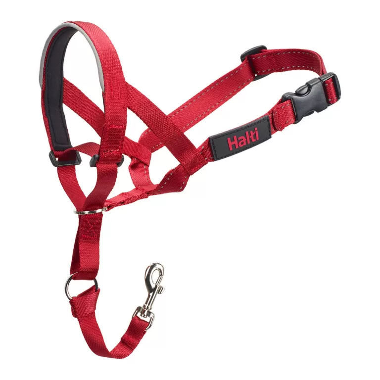 Trainingshalsbanden voor honden Company of Animals Halti Muilkorf (35-48 cm)