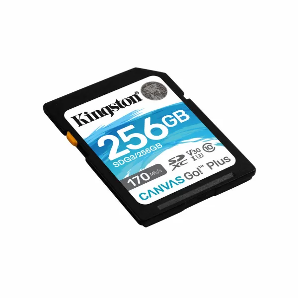 SD Geheugenkaart Kingston SDG3/256GB