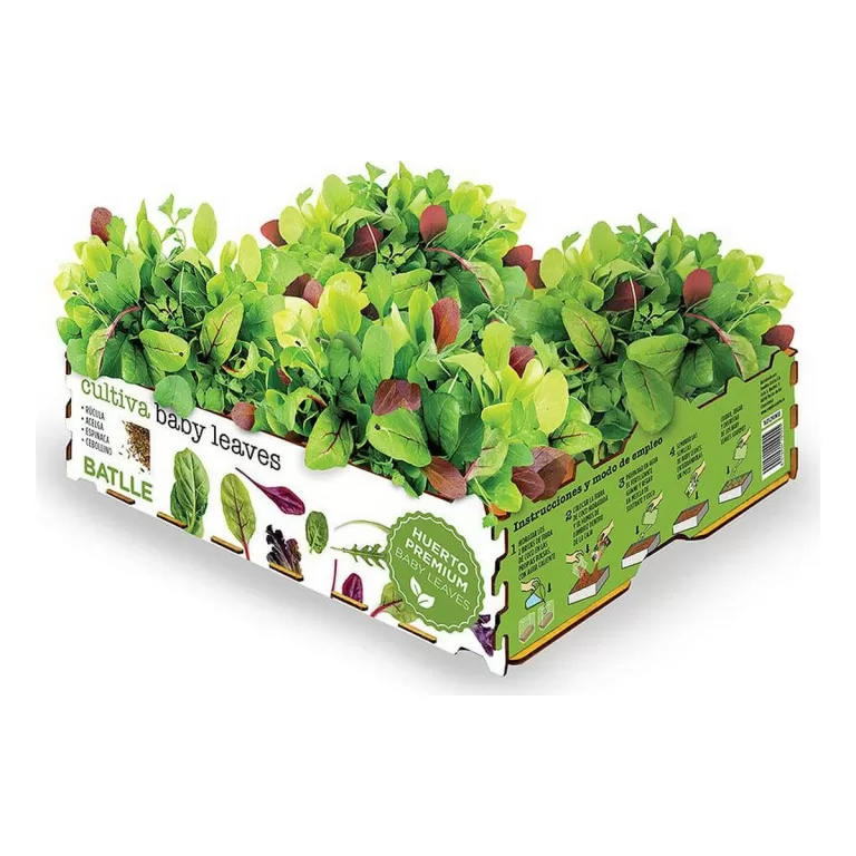 Kweekset Batlle Baby Leaves Salades 40 x 29 x 10