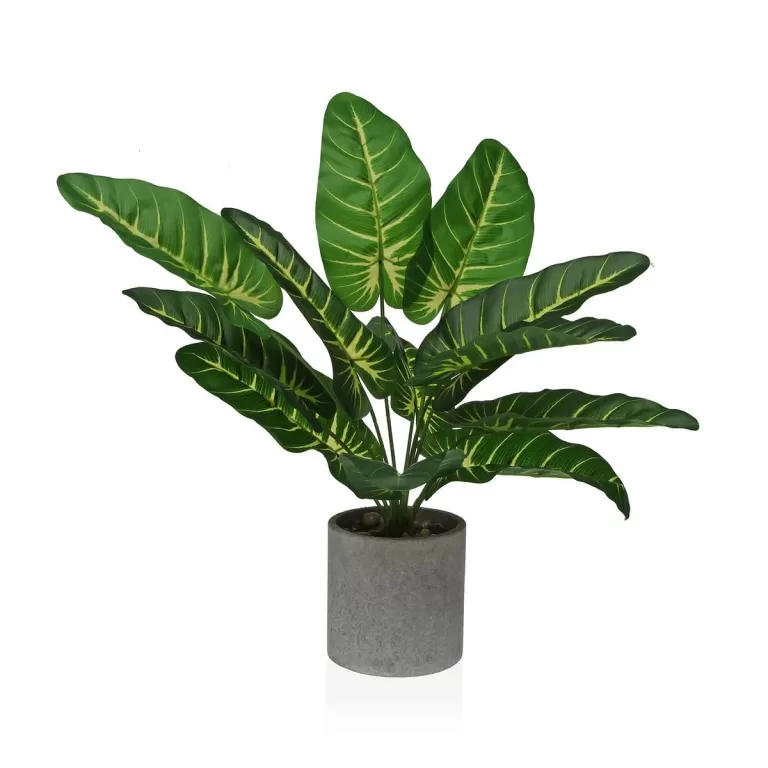 Decoratieve plant Versa 15 x 43 x 15 cm Papier Plastic