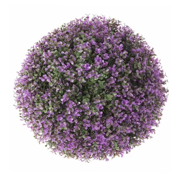 Decoratieve plant   Klot Lavendel 30 x 30 x 30 cm
