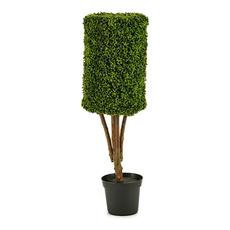 Decoratieve plant Hedge Plastic