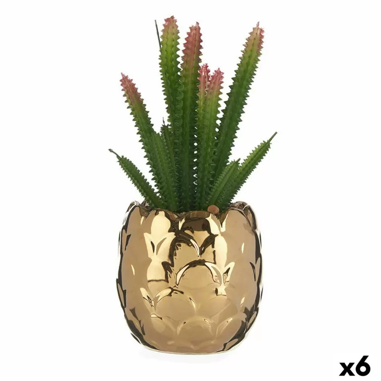 Decoratieve plant Keramisch Gouden Cactus Groen Plastic 6 Stuks