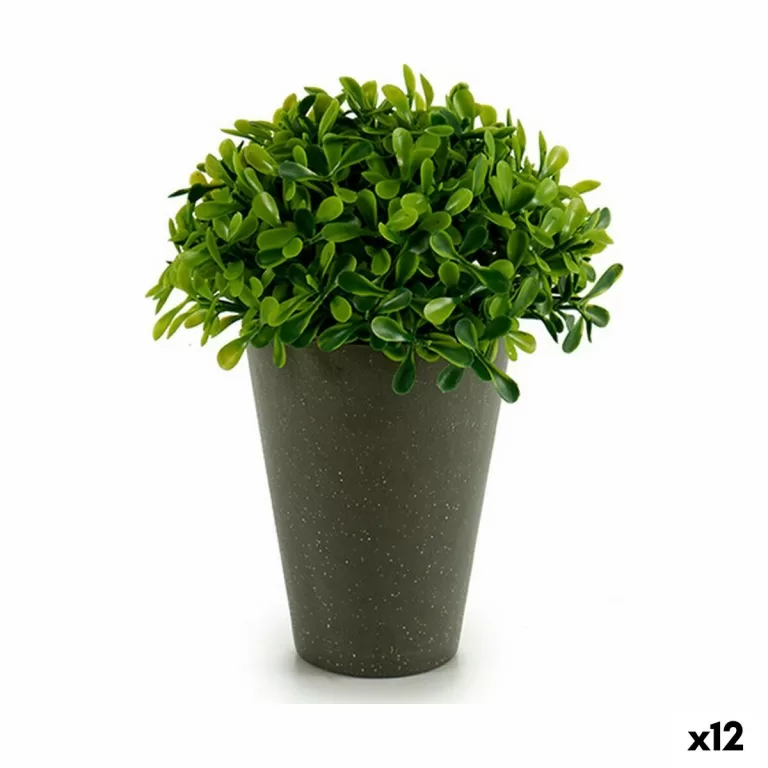 Decoratieve plant Plastic 13 x 16 x 13 cm Groen Grijs (12 Stuks)