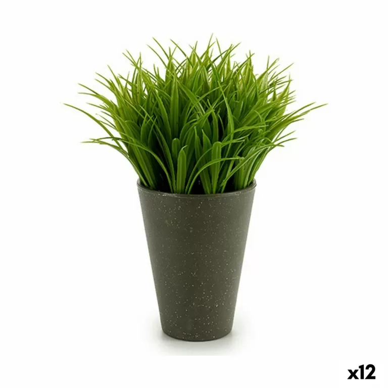 Decoratieve plant Plastic 11 x 18 x 11 cm Groen Grijs (12 Stuks)