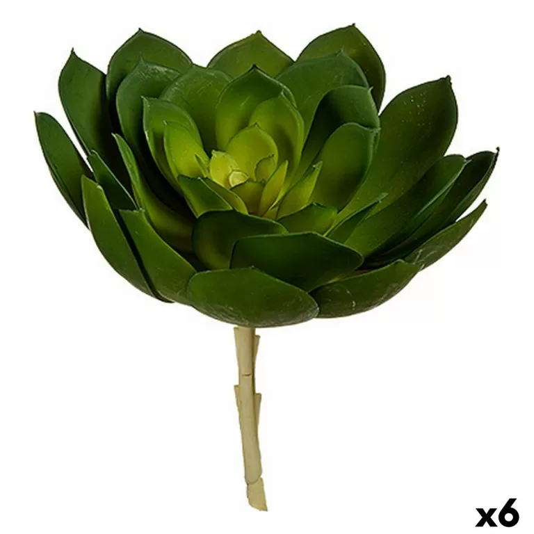 Decoratieve plant 22 x 19 x 19 cm Groen Plastic (6 Stuks)