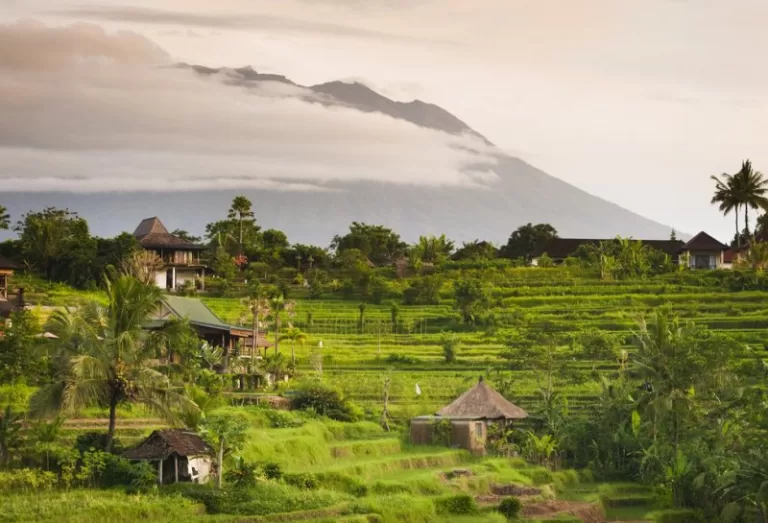 De schoonheid van Bali