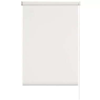 Rolgordijn lichtdoorlatend - transparant wit - 60x190 cm - Leen Bakker