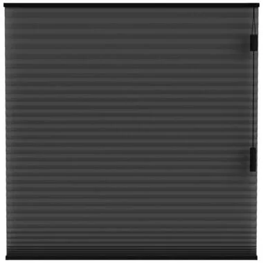 Plisségordijn dubbel 25mm lichtdoorlatend - zwart (15018) - Leen Bakker