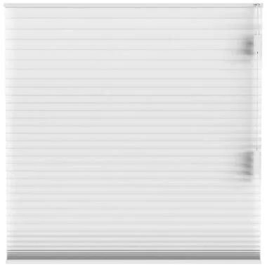 Fenstr plisségordijn Montreal dubbel 25mm lichtdoorlatend - wit (10324) - Leen Bakker
