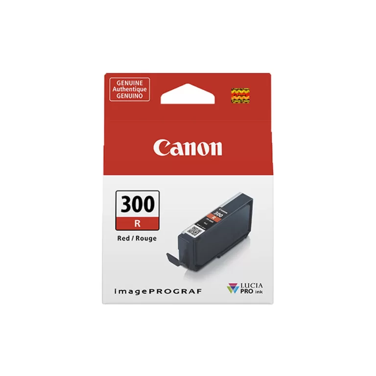 Originele inkt cartridge Canon 300R