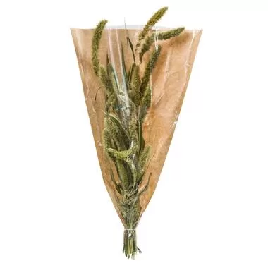 Droogbloemen Setaria - naturel - 45 cm - Leen Bakker