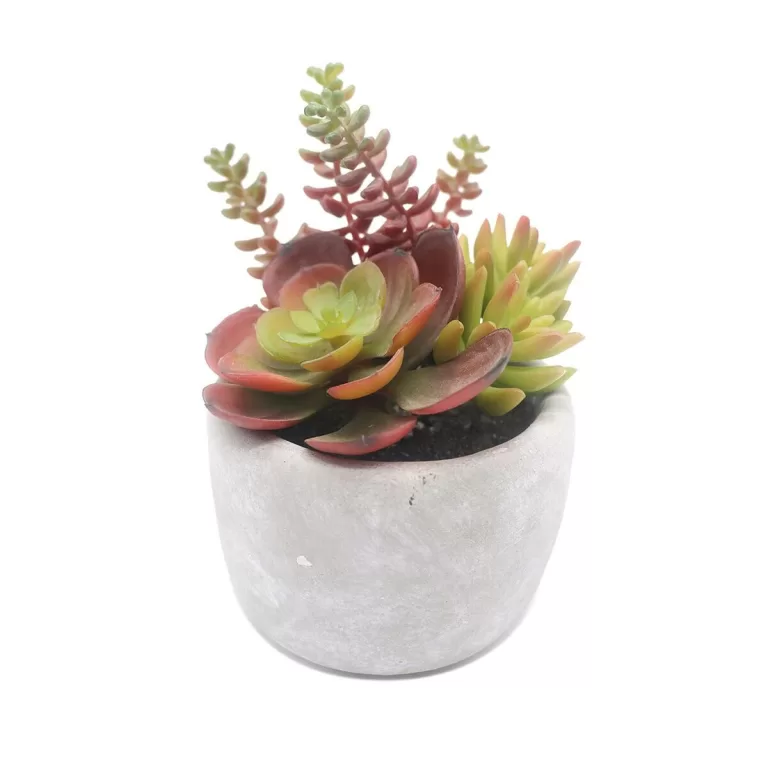 Decoratieve plant Versa Keramisch Plastic 12