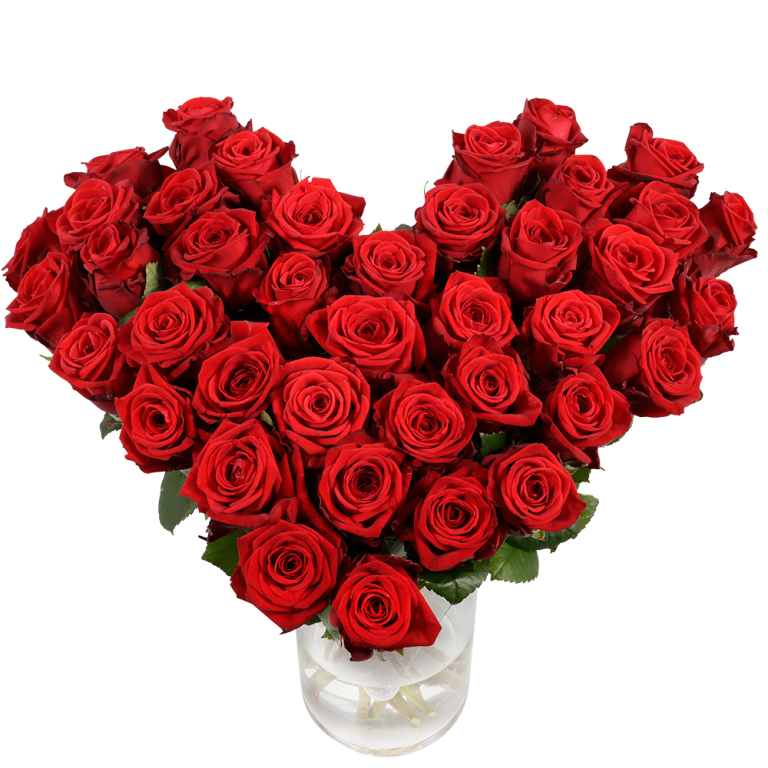 Groot hart met rode rozen | Flickmyhouse marketplace