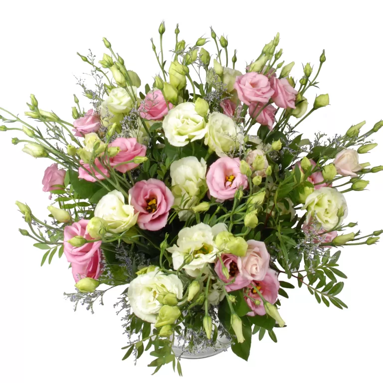 Roze en witte eustoma bloemen | Flickmyhouse marketplace