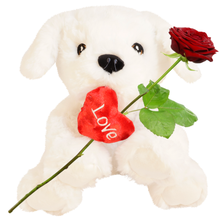 Witte knuffelhond ca. 40cm met rood love hart | Flickmyhouse marketplace
