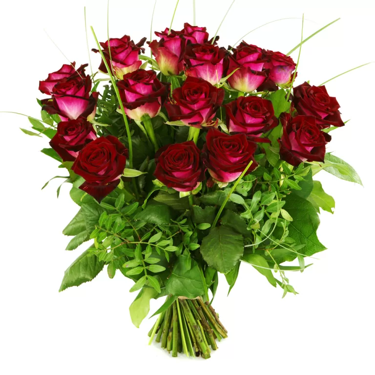 20 Rode rozen bezorgen | Flickmyhouse marketplace
