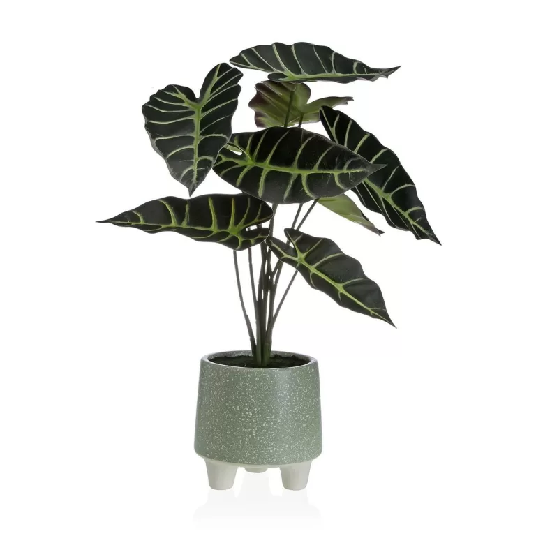 Decoratieve plant Versa Metaal Keramisch polyestyreen Plastic 30 x 46 x 34 cm