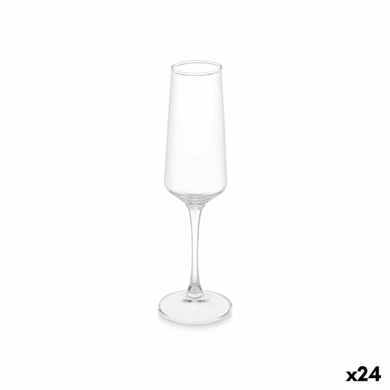 Champagneglas Transparant Glas 250 ml (24 Stuks)