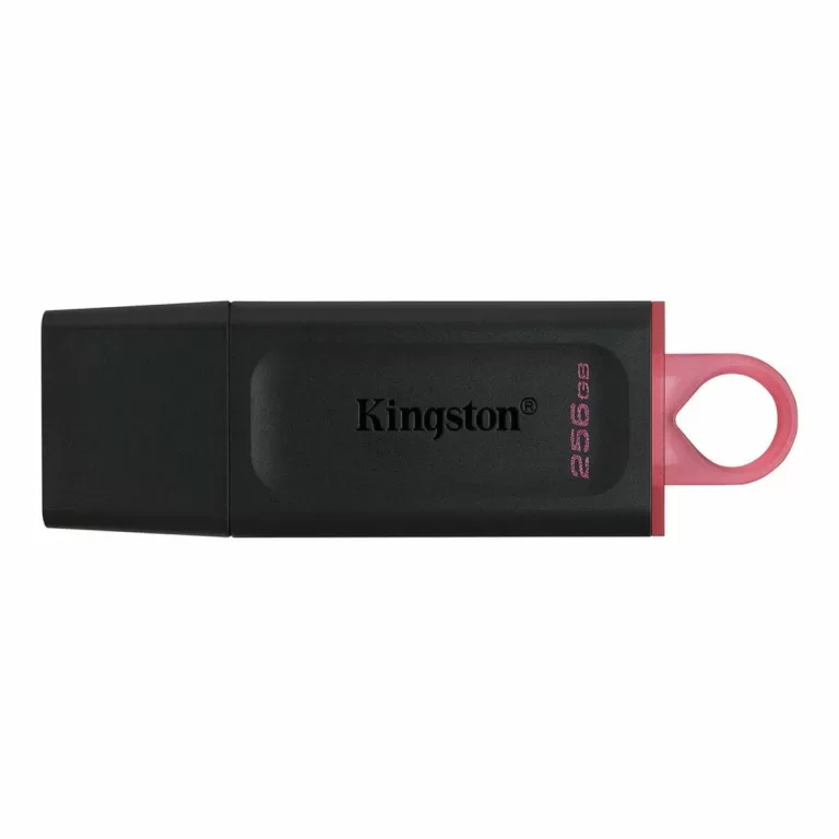 USB stick Kingston DTX/256GB Sleutelhanger Zwart 256 GB