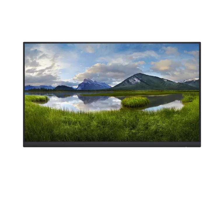 Monitor Dell DELL-P2422HWOS IPS LED 23
