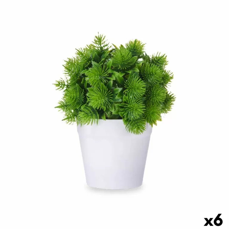Decoratieve plant Plastic 17 x 19
