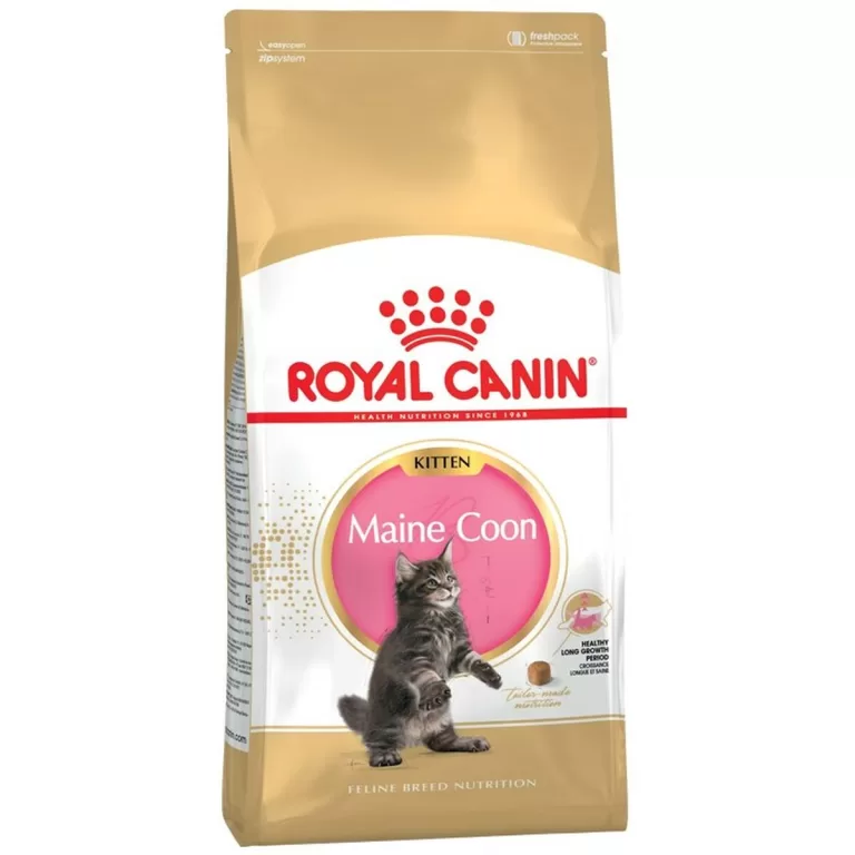 Kattenvoer Royal Canin Maine Coon Kitten Vogels 2 Kg