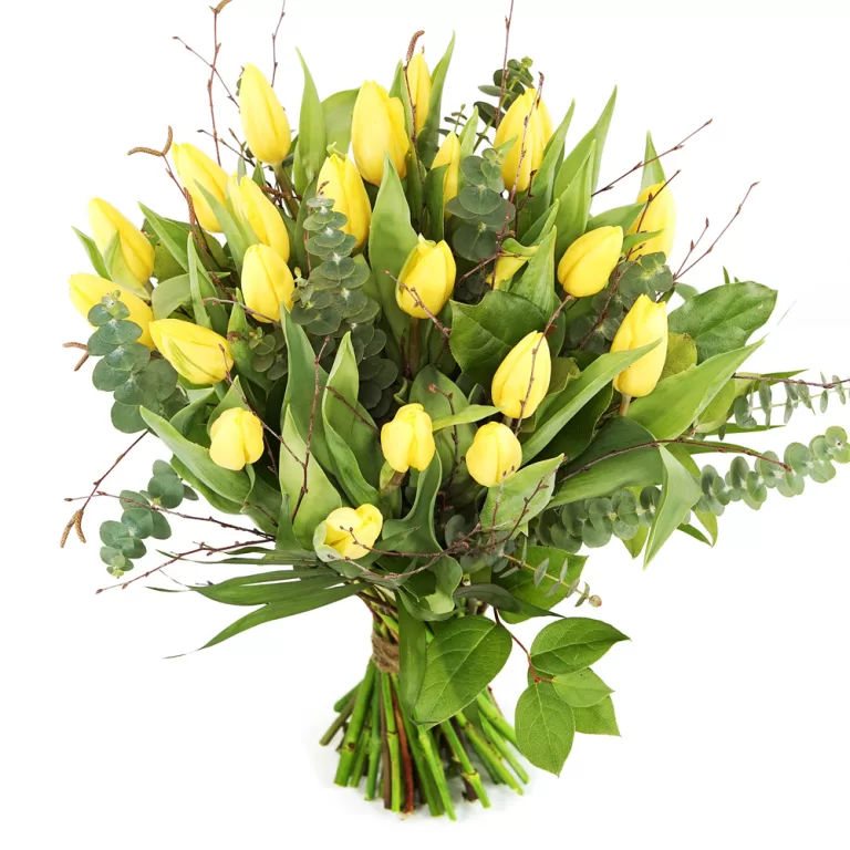 Gele tulpen boeket | Flickmyhouse marketplace