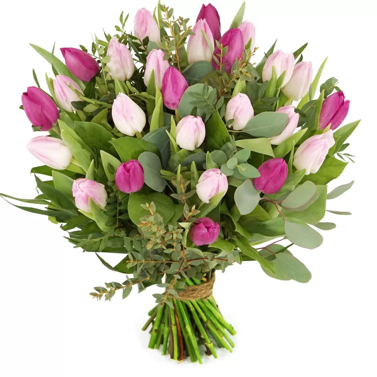 Roze tulpen inclusief bladmateriaal | Flickmyhouse marketplace