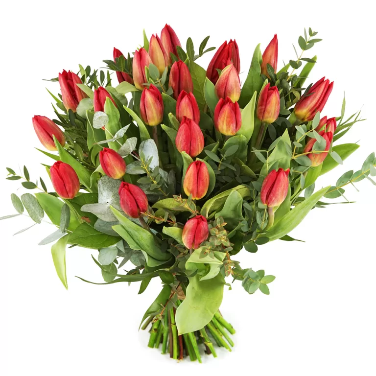 Rode tulpen inclusief bladmateriaal | Flickmyhouse marketplace