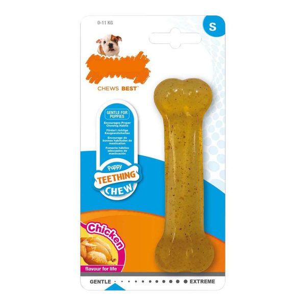 Kauwspeelgoed voor honden Nylabone Maat S Kip Thermoplast Puppy's