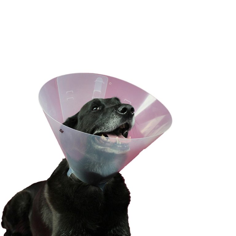 Lampenkap voor honden KVP Betsy (23-27 cm)