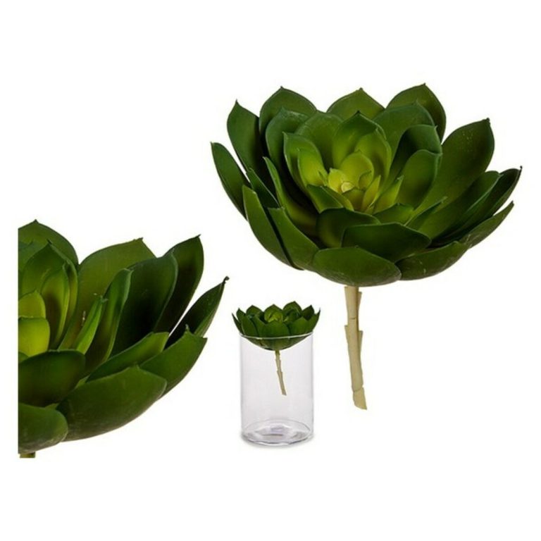Decoratieve plant Groen Plastic