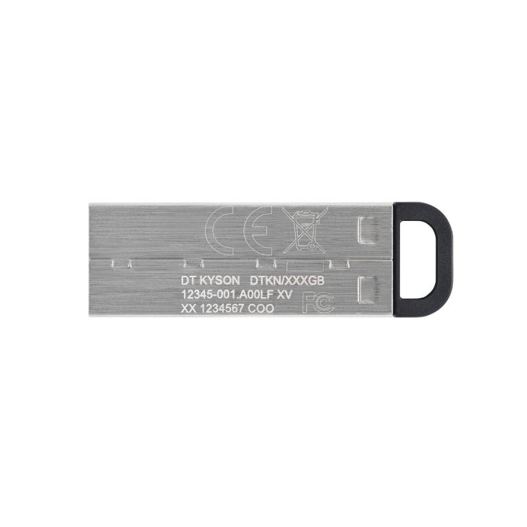 USB stick Kingston DTKN/512GB Zilverkleurig 512 GB