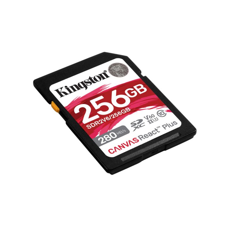SDXC Geheugenkaart Kingston SDR2V6/256GB 256 GB
