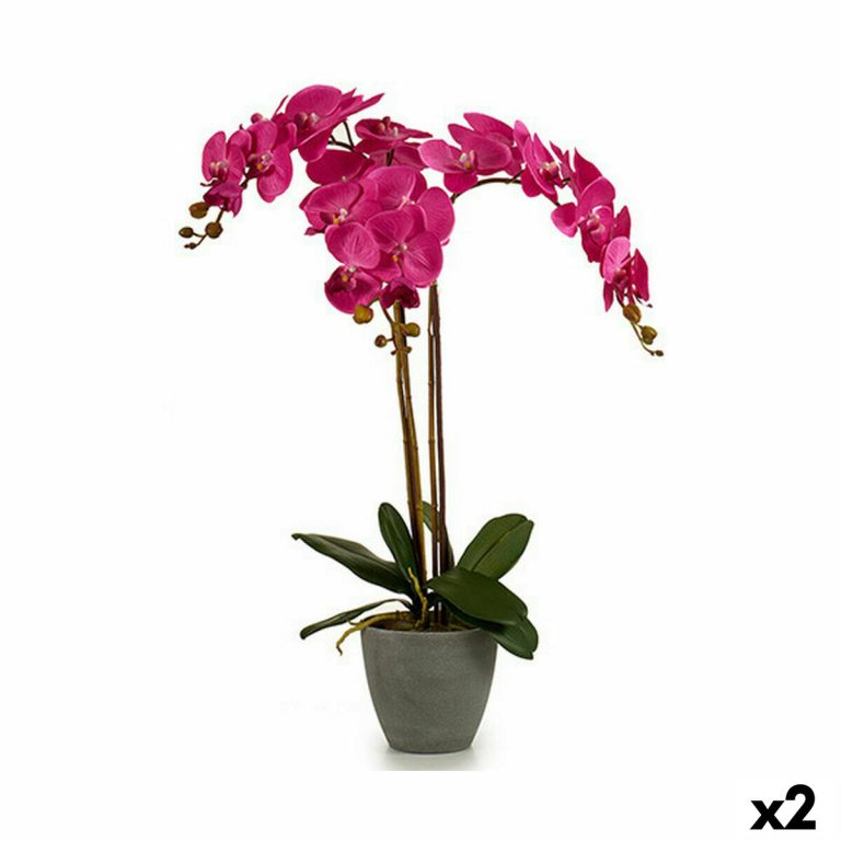 Decoratieve plant Orchidee Plastic 60 x 78 x 44 cm (2 Stuks)