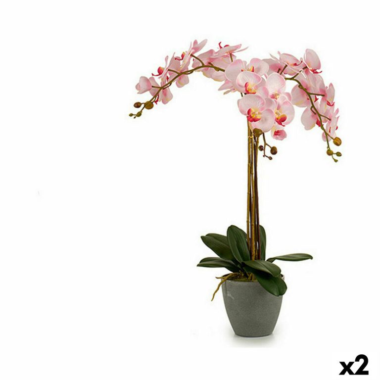 Decoratieve plant Orchidee Plastic 29 x 78 x 35 cm (2 Stuks)