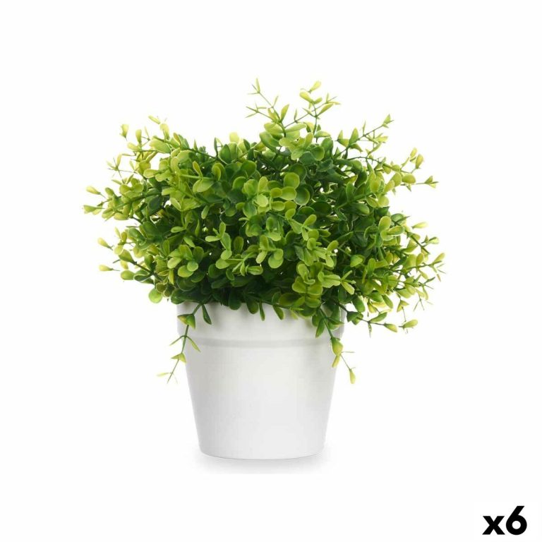 Decoratieve plant Plastic Klein (6 Stuks)