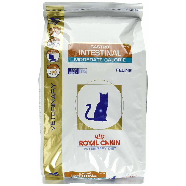 Kattenvoer Royal Canin Gastro Intestinal Moderate Calorie Volwassen Vogels 4 Kg