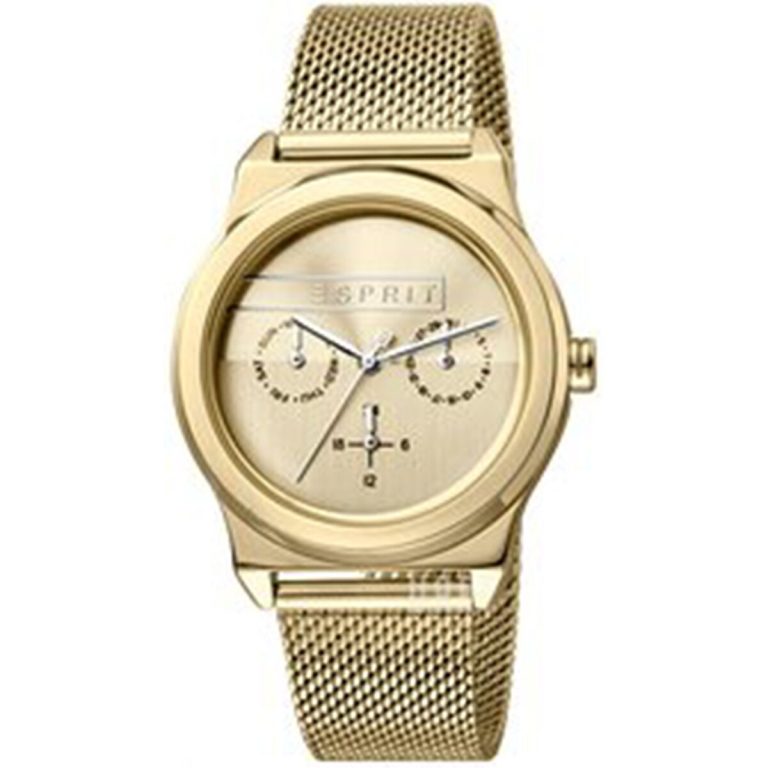 Horloge Dames Esprit ES1L004M0045