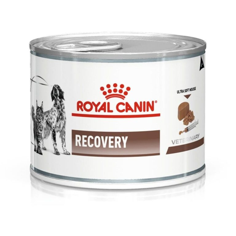 Natvoer Royal Canin Recovery Vogels Varken 195 g