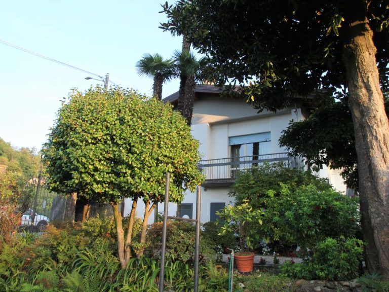 Erica | Boeken bij Flickmyhouse