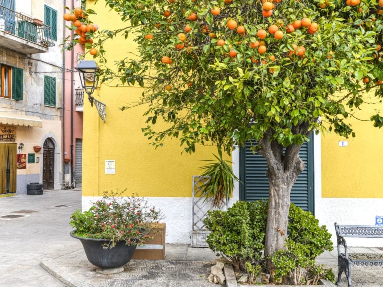 Il Marinaio | Boeken bij Flickmyhouse