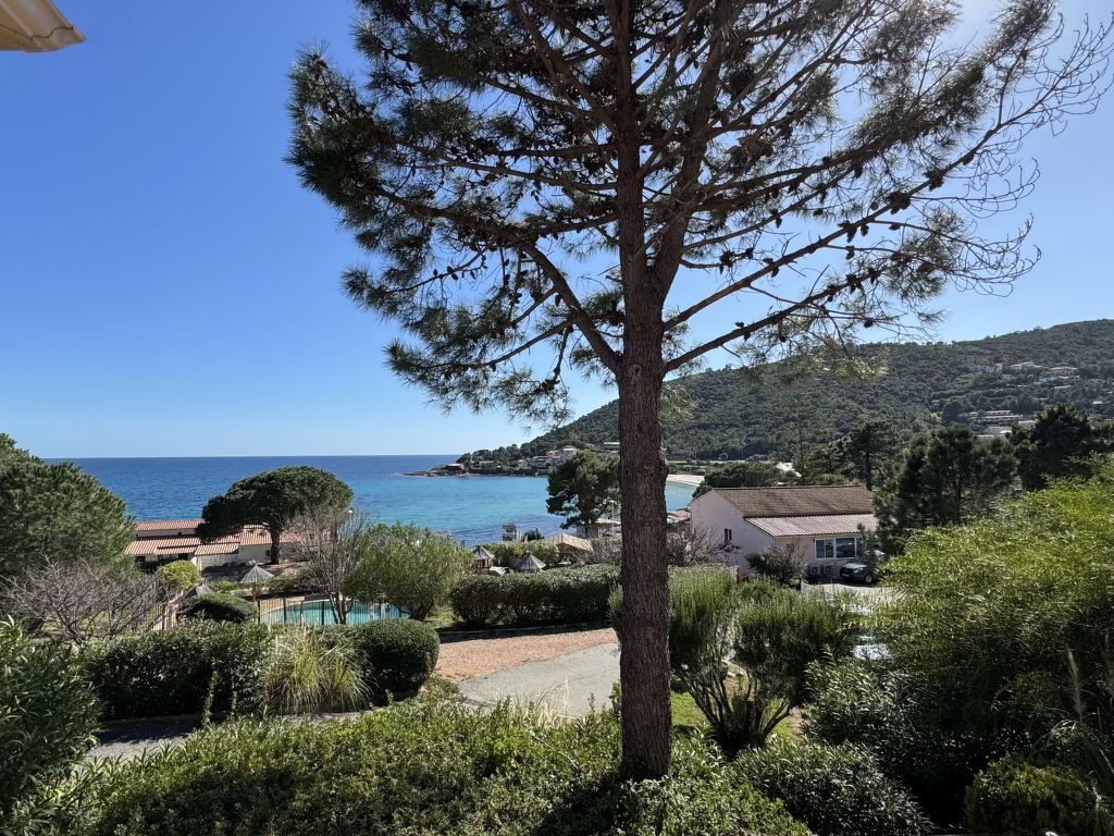 Le Télémaque 2 pièces Mezzanine | Boeken bij Flickmyhouse