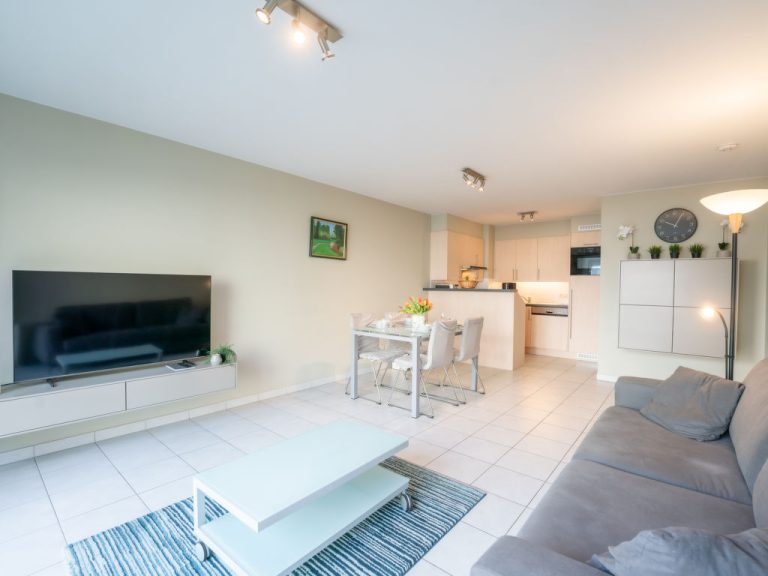 Flipper nearby the beach | Boeken bij Flickmyhouse