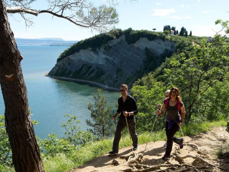 Salinera | Boeken bij Flickmyhouse