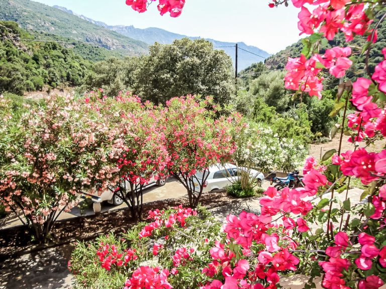 Residence Cabanaccia Studio 38m² | Boeken bij Flickmyhouse