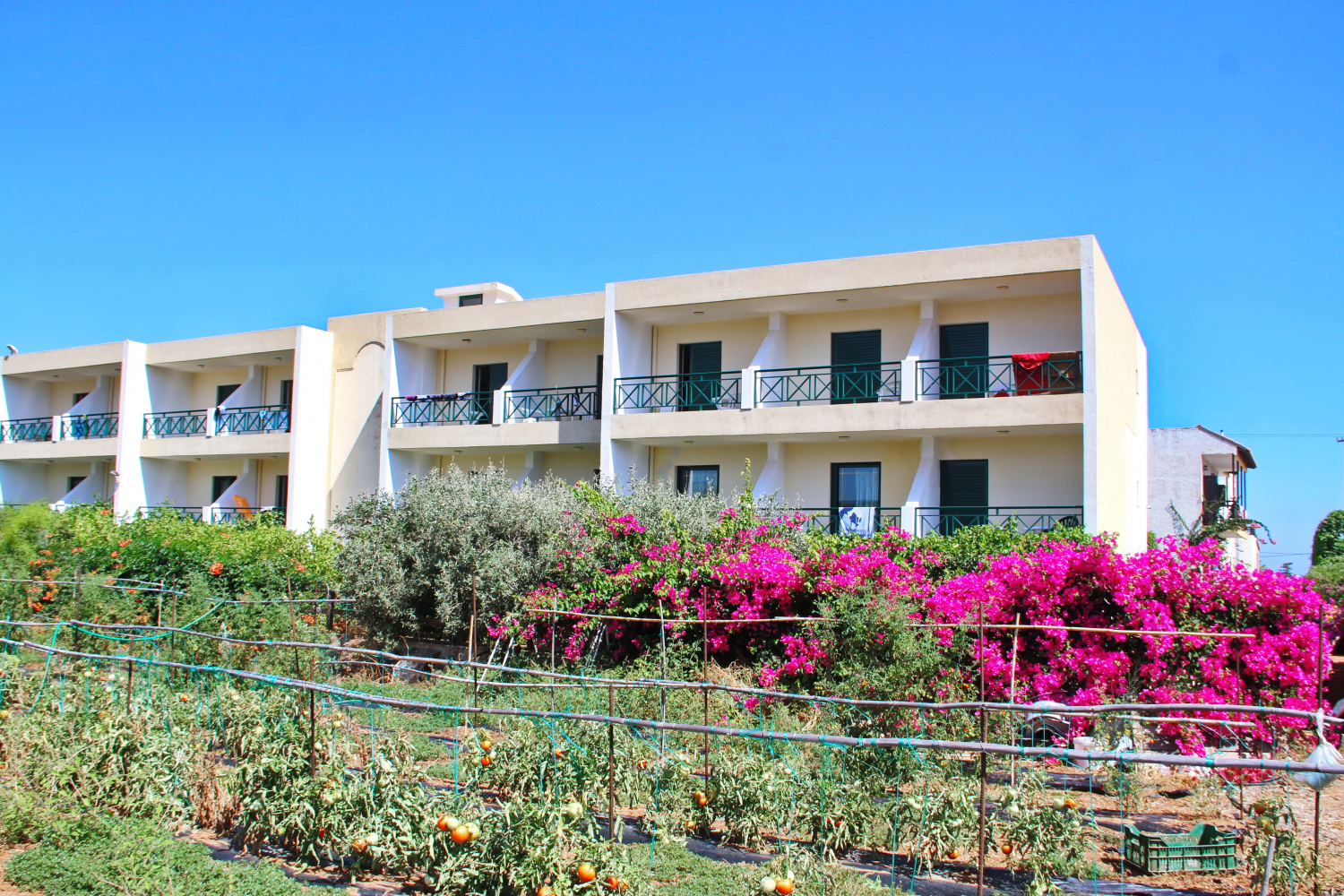 LiggingHet hotel ligt in het rustige dorp Gouves op de noordkust van Kreta
